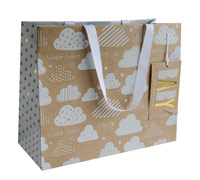 gift bag - large - cloud9