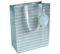 gift bag - large - spots n stripes - blue
