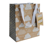 gift bag - medium - cloud9