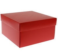 gift box - cake - siren (textured)