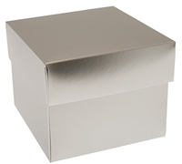 gift box - mug - silversmith