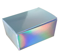 gift box - earrings - unicorn/foil